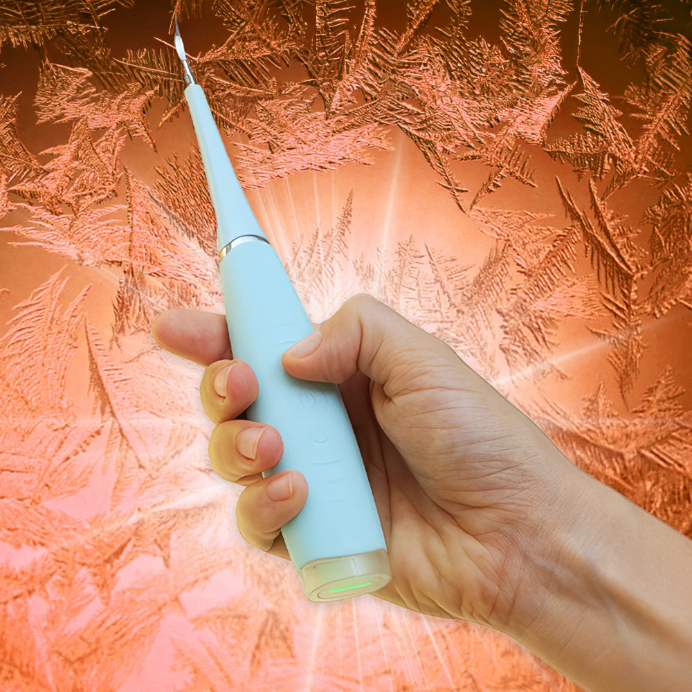 Clear Pik Portable Plaque Remover TopRated