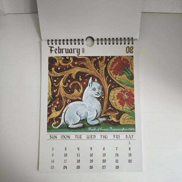 Ugly Medieval Cats Calendar 2025