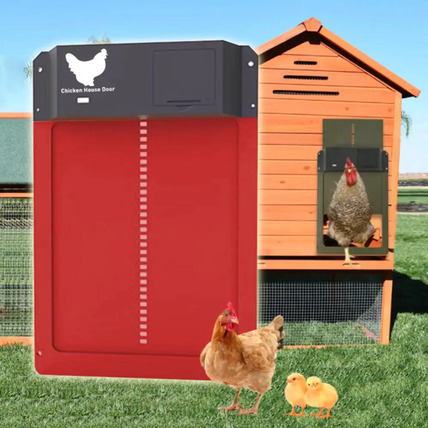 LAST DAY 49% OFF – Automatic Chicken Coop Door