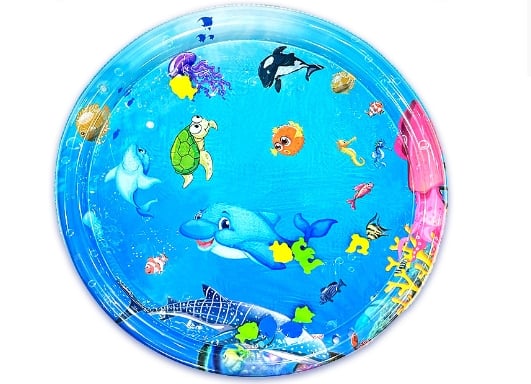 Pet Water Sensory Mat