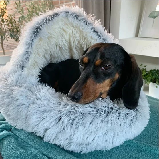 Plush bed for dogs & cats